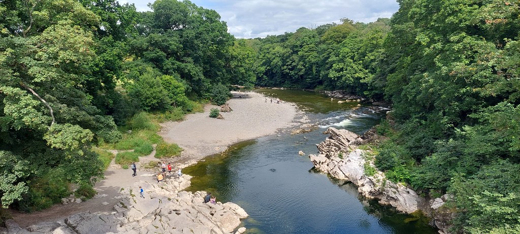 54915376743 98a8a8cac0 B