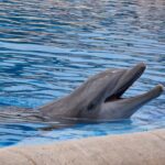 54915408229 3af3b530ce B 150x150