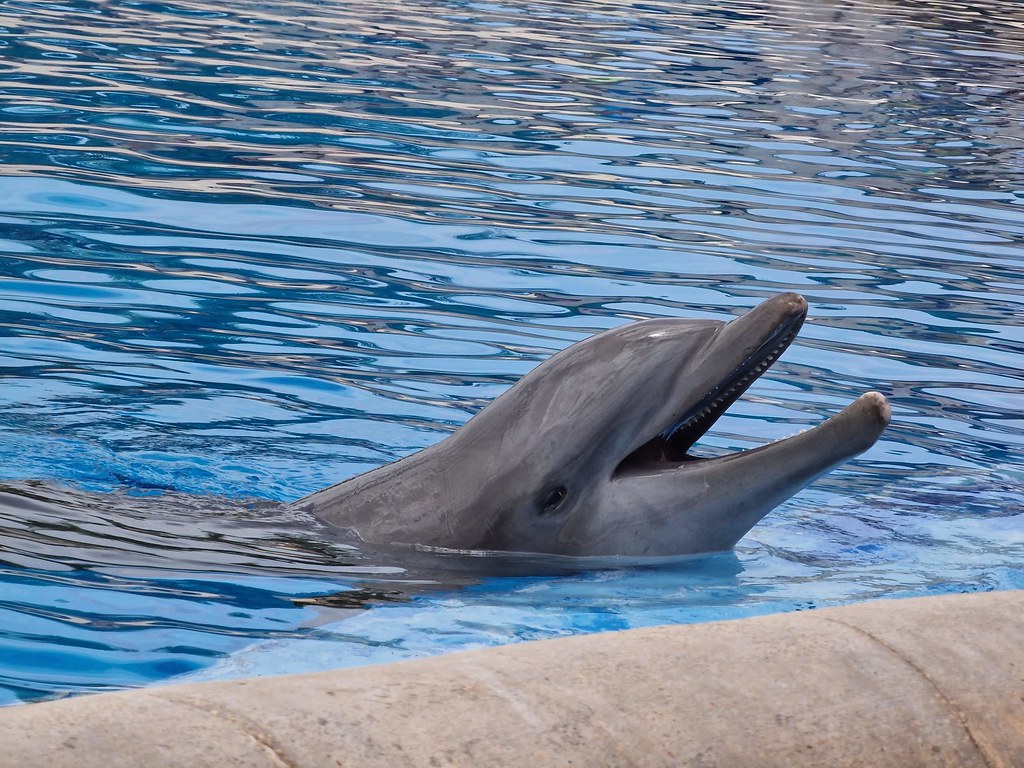 54915408229 3af3b530ce B