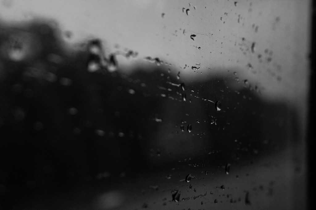 54915418534 9b590e5105 B