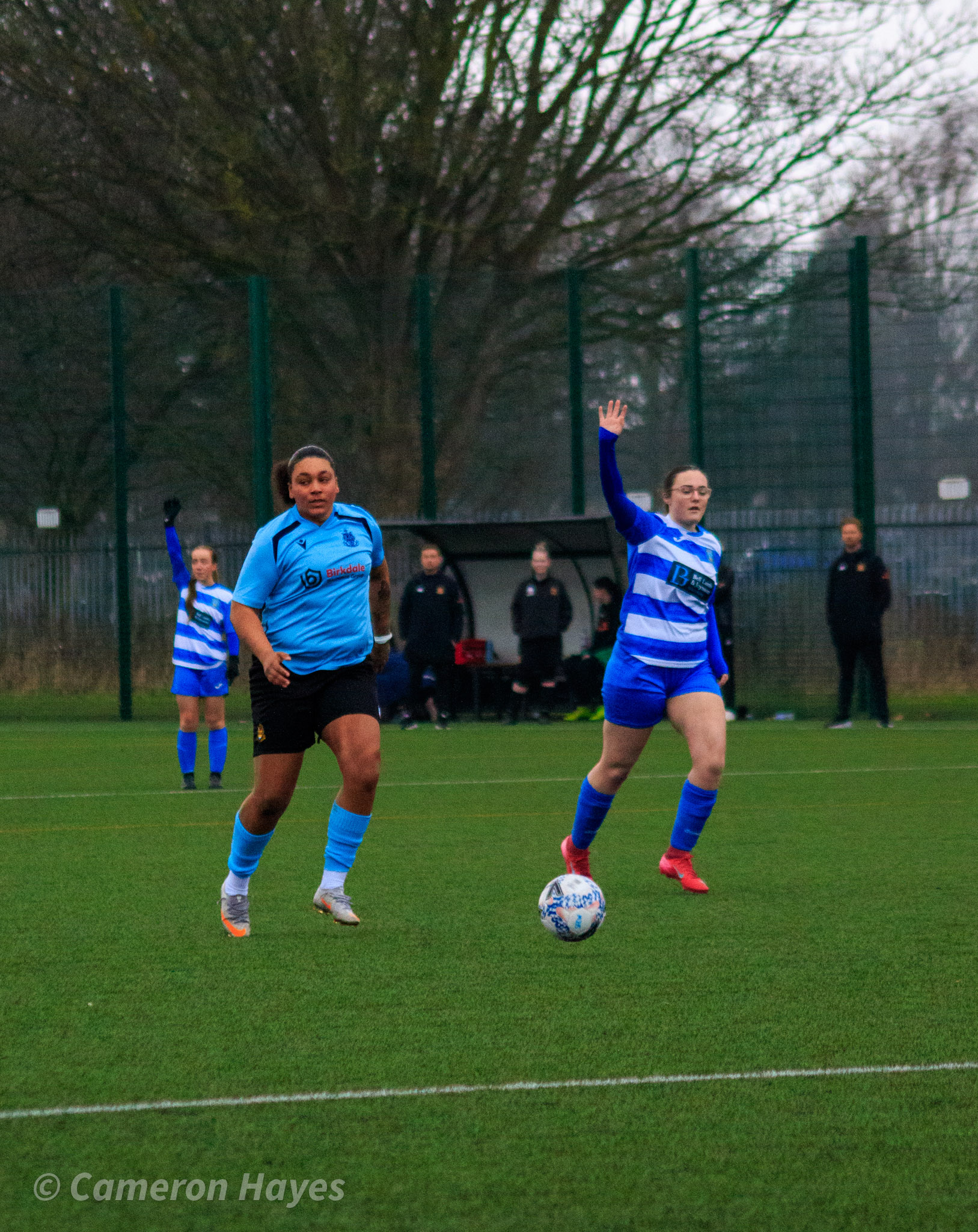 55073191918 E8ed6dc89c O 1